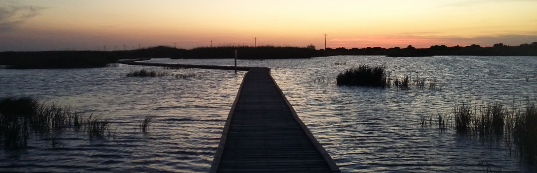 A boardwalk trail across the wetland with sunset in background