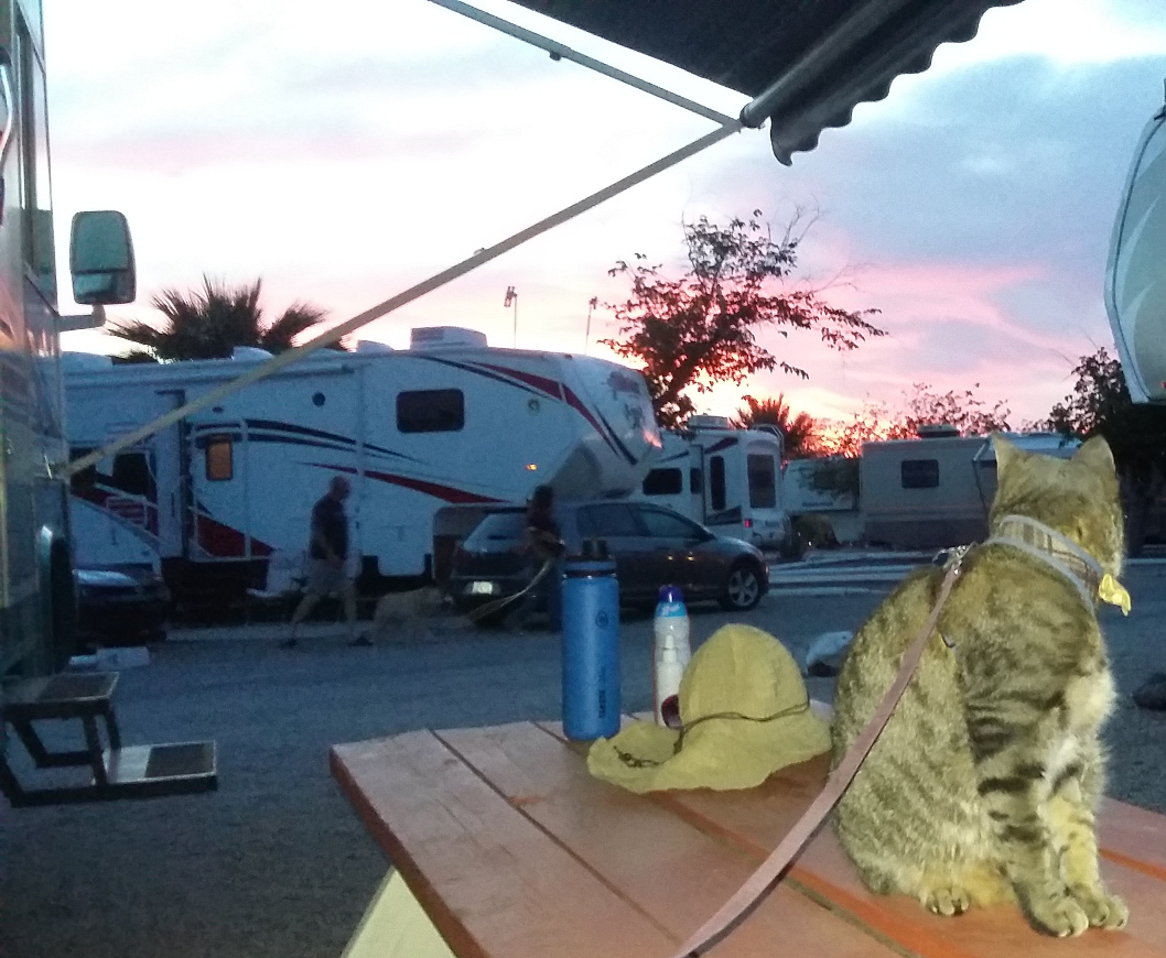 Pablo watches the Tucson sunset